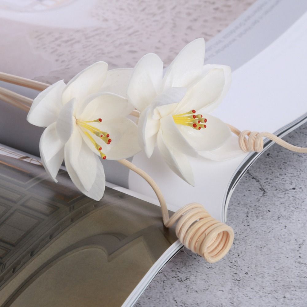 Home Fragrance Diffuser Sticks - أعواد عطرية متعددة الاستخدامات 5 سم