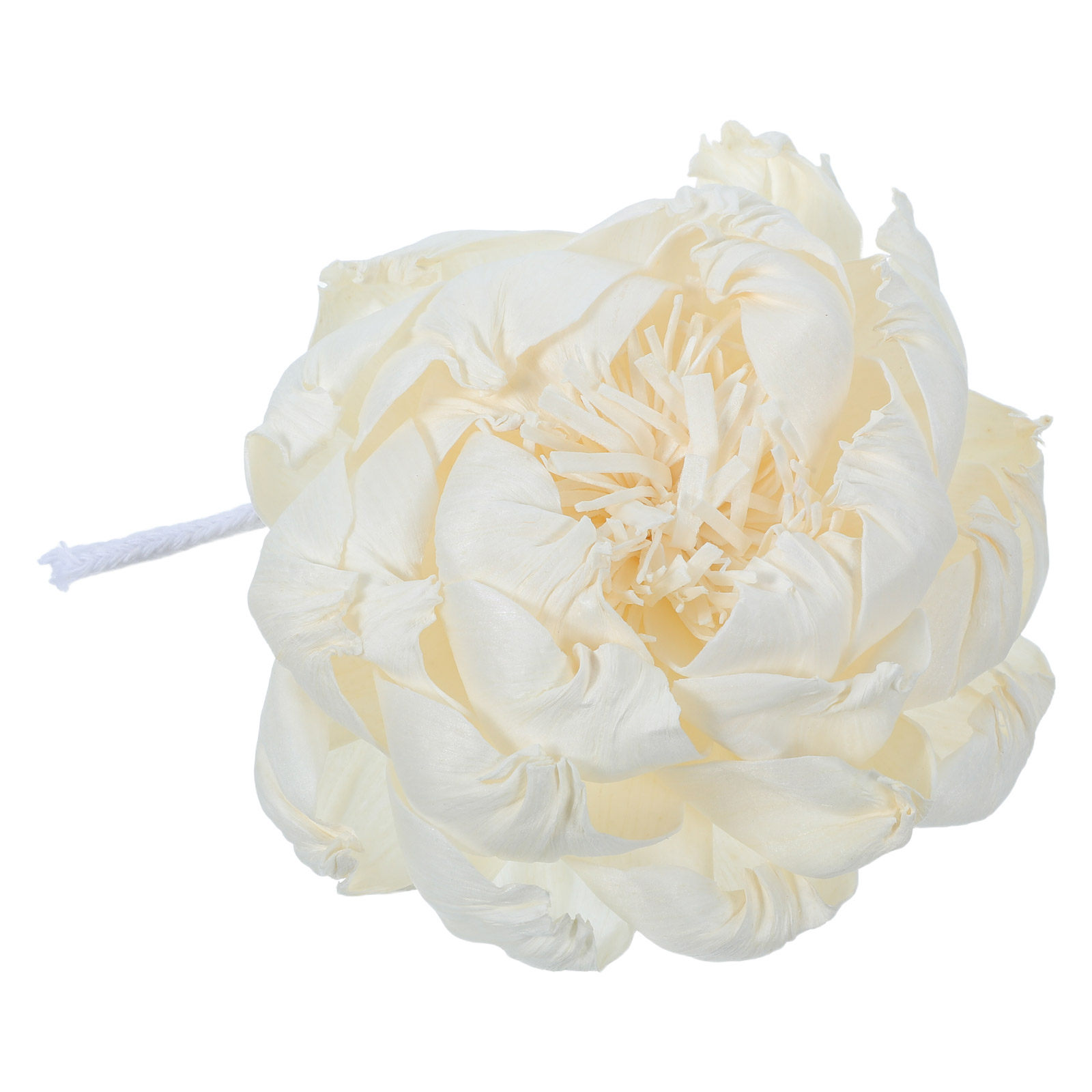 موزع عطر برائحة زهرة الفاونيا  - مراجعة Home Fragrance Oil وسعره