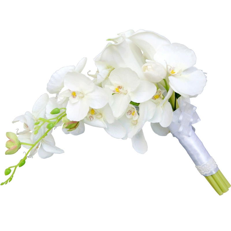 زفاف فرنسي رومانسي أبيض كالا ز - مراجعة Home Fragrance French وسعره