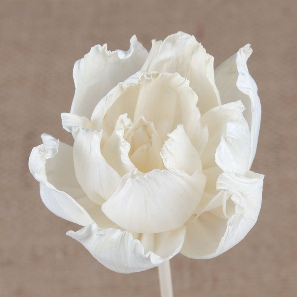 أعواد عطرية متعددة الاستخدامات - مراجعة Home Fragrance Diffuser Sticks وسعره