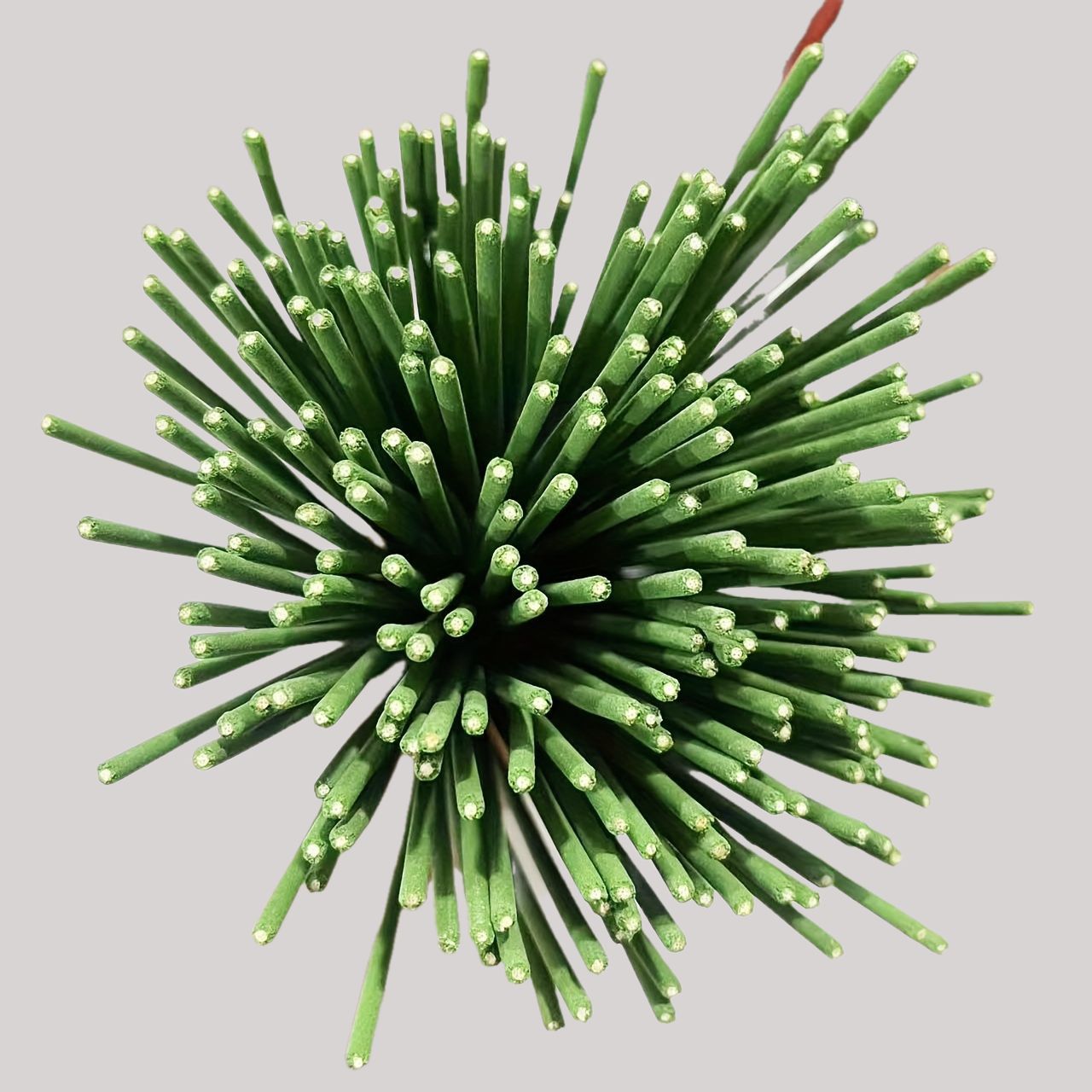 ريد الناشر العصي عشبة الليمون  - مراجعة Home Fragrance Diffuser Sticks وسعره